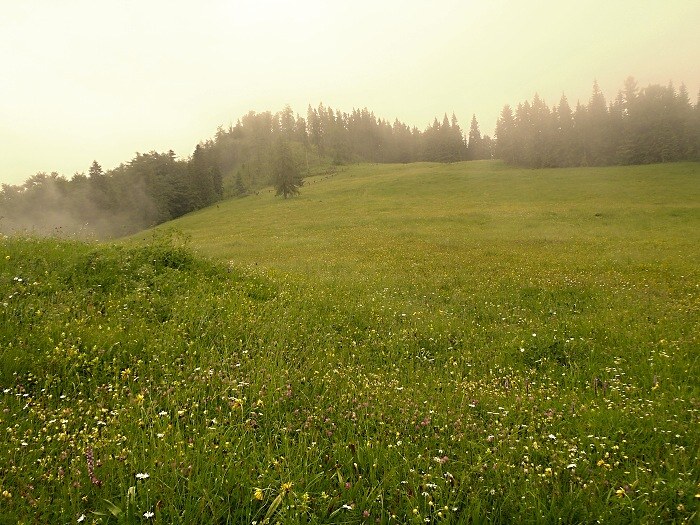 22.-23.6.2013 Mur�nska planina